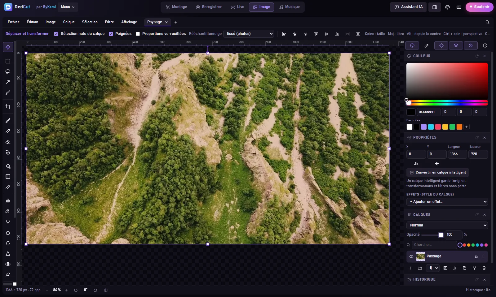 L’espace Image de DedCut : une photo de paysage ouverte, avec les panneaux Couleur, Propriétés et Calques.